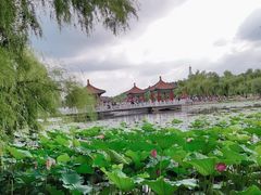 -长春市南湖公园