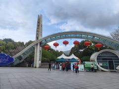 -南山植物园