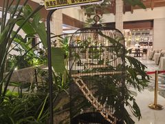 -太湖饭店玉兰厅(自助餐厅)