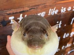 -永安鱼庄·镇江菜(丁卯店)