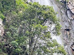 -刘伯温故里景区百丈漈