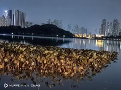 -月湖风景区