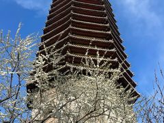 -玲珑塔公园