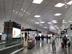 -郑州新郑国际机场-T2航站楼