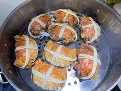 -阳澄湖大闸蟹·琼灵阁牌品牌连锁(吴中总店)