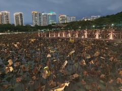 -南宁南湖公园