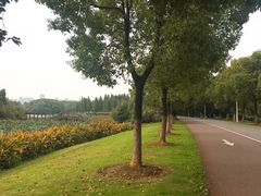 -艾溪湖湿地公园