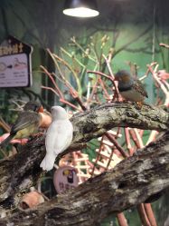 -Zoolung Zoolung动物主题公园(海信广场店)