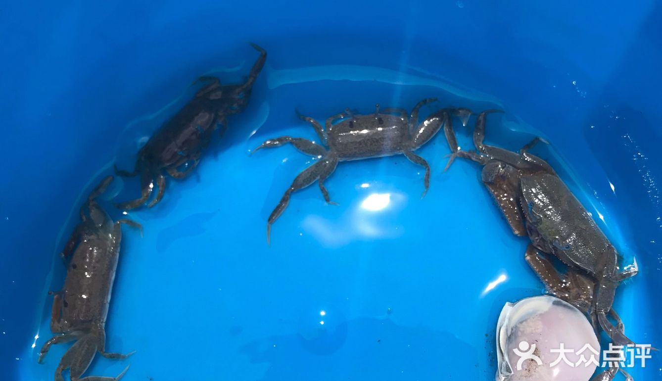 足不出沪的免费海滩 遛娃好去处