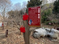-青檀寺景区