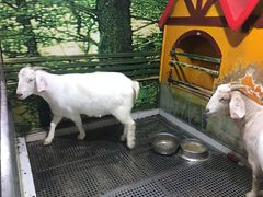 -上海大自然野生昆虫馆(东方明珠·爬宠昆虫探索中心)