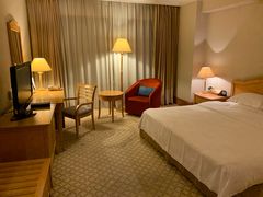 -南京维景国际大酒店(南京博物院店)