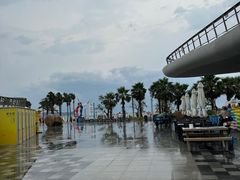 -大梅沙海滨公园