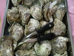 蒸海岛蚝-邹记·美食(斗门店)