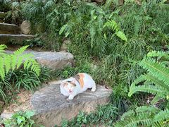 -原乡芦茨咖啡