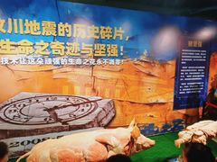 -生命奥秘博物馆