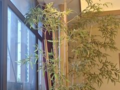 -肖记公安牛肉鱼杂馆· 省级非物质文化遗产(仁和路店)