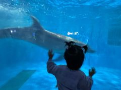 -福州罗源湾海洋世界旅游区