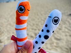-海云台海滩