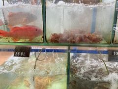 水产区-蓝湾碧波·老字号·疍家非遗海上餐厅