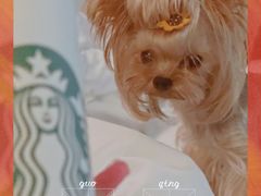 -星巴克臻选(长沙运达中央广场店)