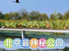 -翠湖国家城市湿地公园
