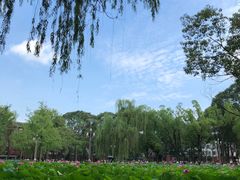 -四川大学(望江校区)