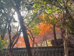 -狼山风景名胜区