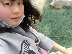 -林海公园