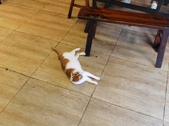 -晓靖轩烧烤(沙河风情店)