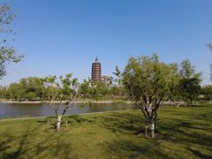 -西海子公园