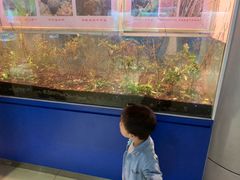 -上海昆虫博物馆