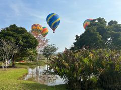 -中国科学院西双版纳热带植物园