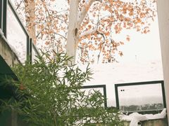 -河南省黄河迎宾馆