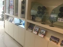-车艺佳龙膜隐形车衣汽车贴膜(宝山丰宝店)