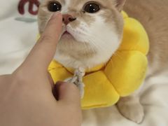 -联合动物医院(光谷诊疗中心)