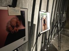 -百美汇影城(LUXE嘉里中心店)