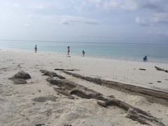 -环滩岛