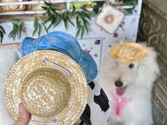 -蜀大侠火锅(春熙路店)