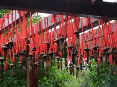 -黑龙潭公园