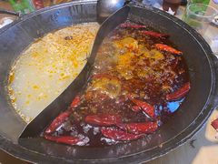 -阳阳老火锅(小南门店)