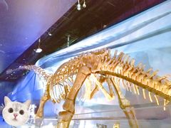 -武汉园博园(武汉自然博物馆)