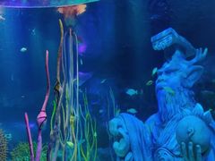 -沈阳海洋探索中心