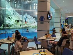 -帝企鹅自助餐厅•儿童岛•真企鹅(长隆企鹅酒店)