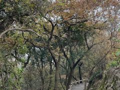 -灵岩山风景区