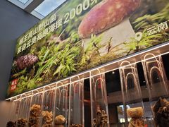 -菌自在·云南野生菌火锅(长安万达店)