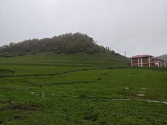 -关山草原