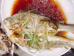 -四海蒸鲜蒸汽海鲜自助(北戴河店)