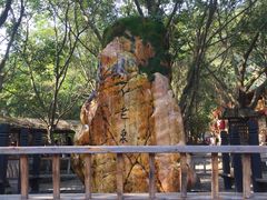 景点-天门沟九州驿站树上汤泉