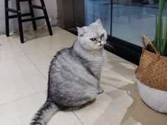 -Oasis绿洲银饰珍珠手作diy(壹方城店)